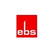 ebs consulting
